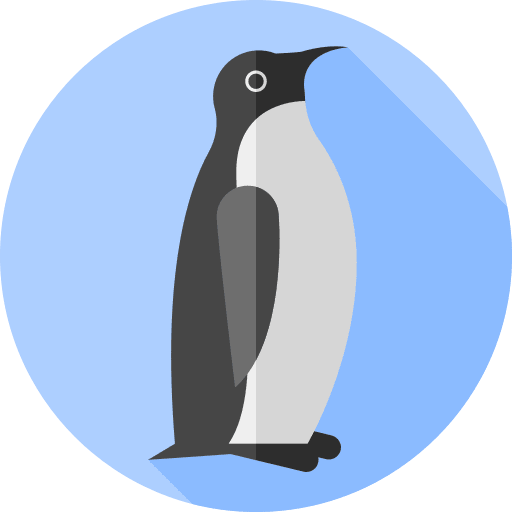 Penguin animals bird wildlife icon