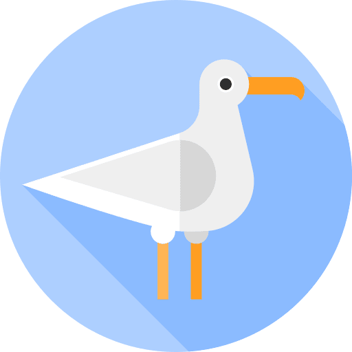 Seagull bird seagull ornithology icon