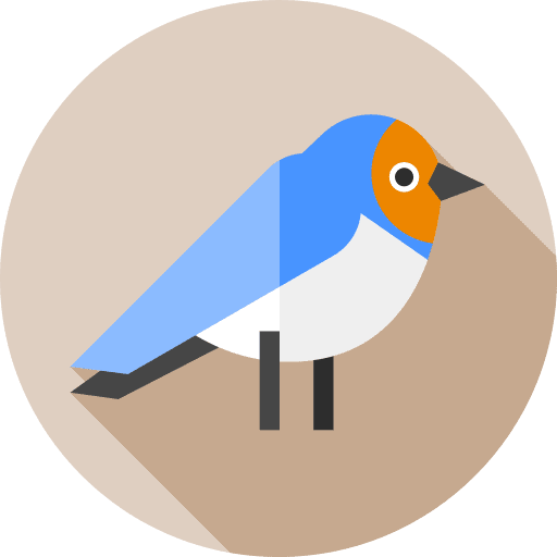 Barn swallow ornithology zoology fauna icon