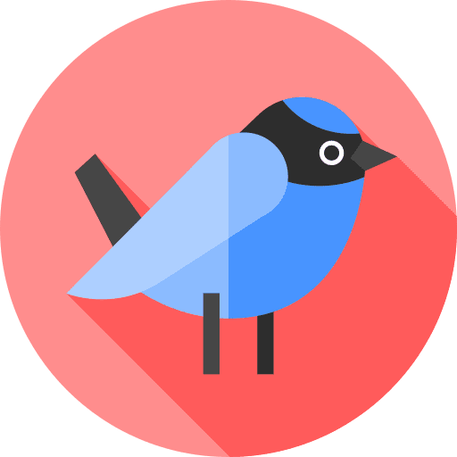 Bird animal kingdom ornithology wildlife icon