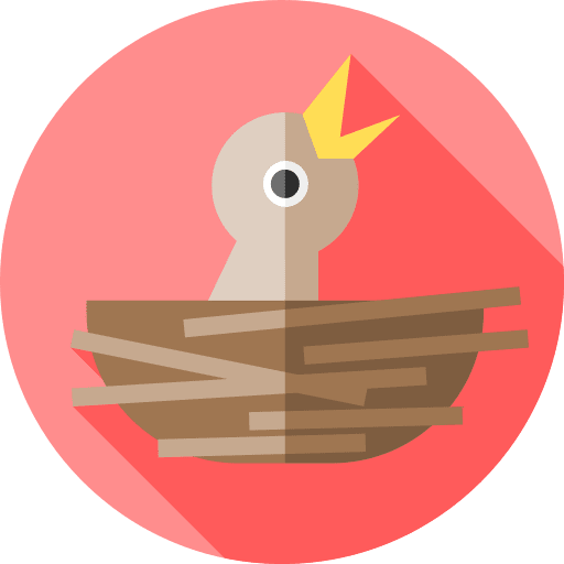 Bird bird baby animals icon