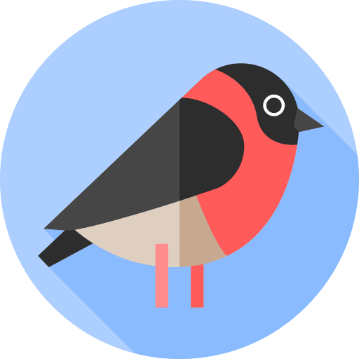 Bullfinch animals wildlife poultry icon