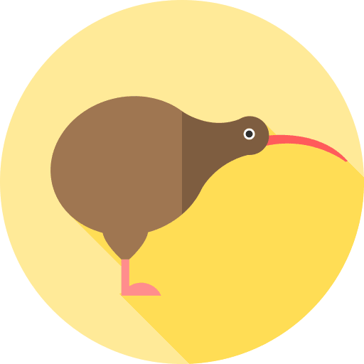 Kiwi animals ornithology fauna icon