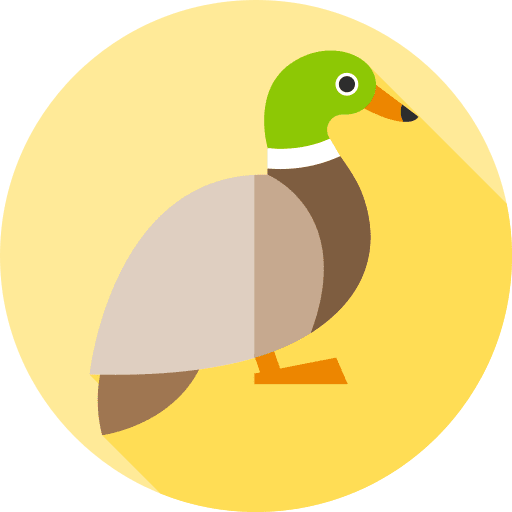 Mallard duck animal kingdom zoology fauna icon