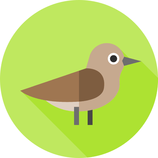 Nightingale animals animal kingdom wildlife icon