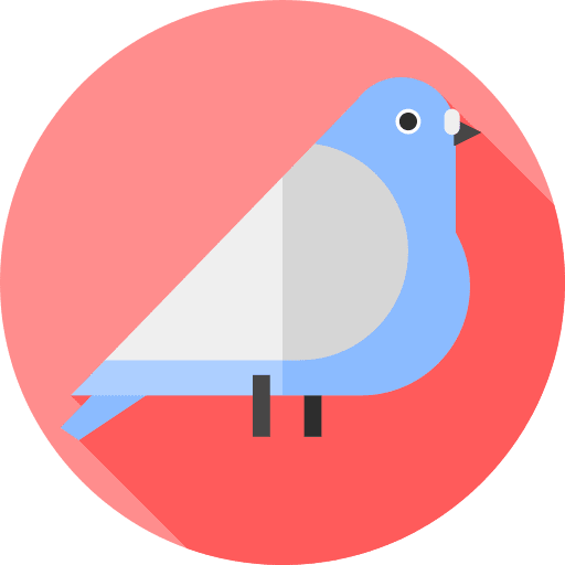 Pigeon ornithology pigeon animals icon