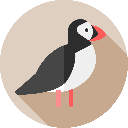 Puffin animal kingdom zoology bird icon