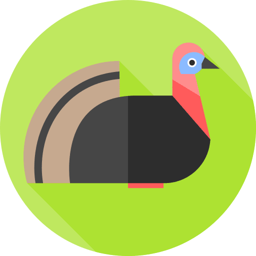 Turkey animal kingdom zoology animals icon