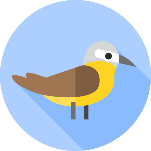 Wagtail fauna zoology animals icon