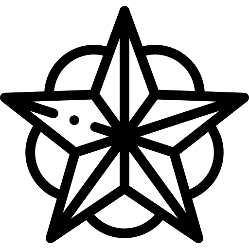 Star sky shine nature icon