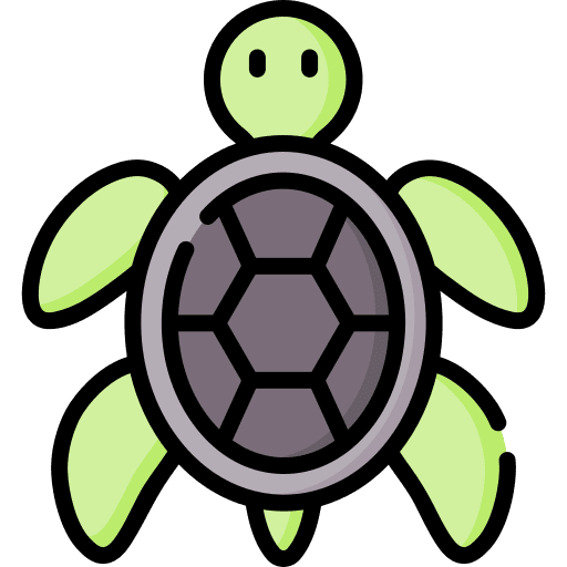 Turtle animals zoology zoo icon