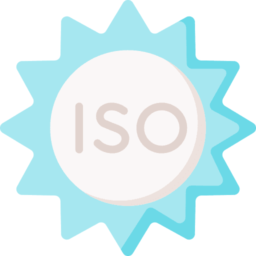 Iso protection security iso icon