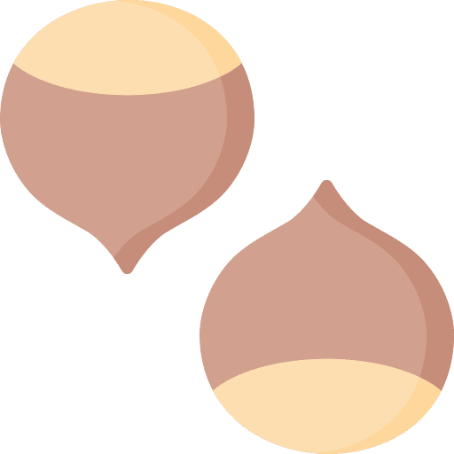 Chestnut chestnut autumn fall icon