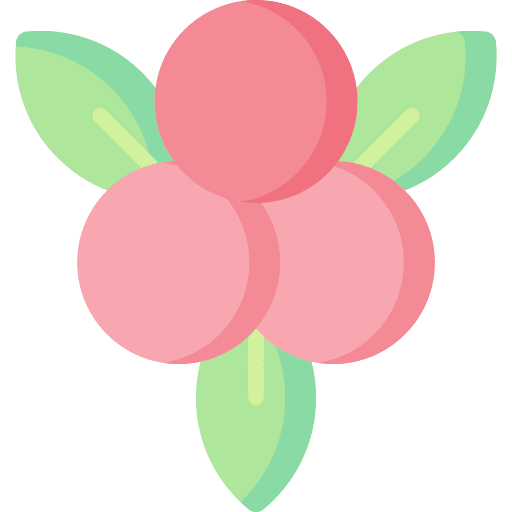 Berries xmas mistletoe ornament icon