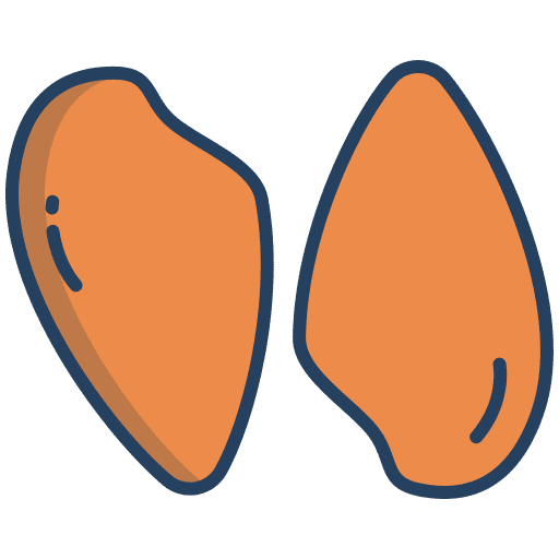 Chicken breast gastronomy food and restaurant healthy food icon