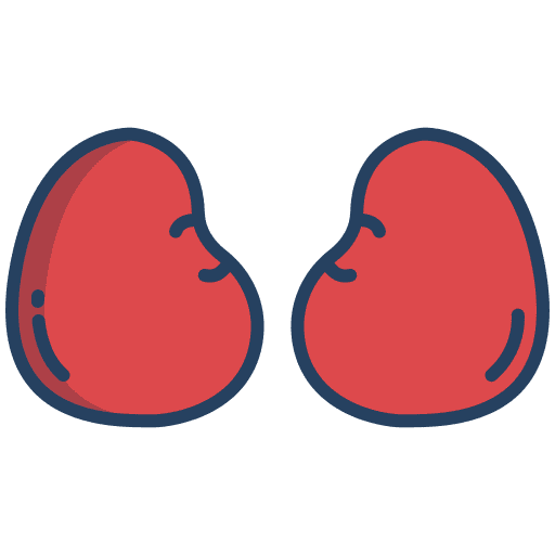 Meat kidney meat food and restaurant icon