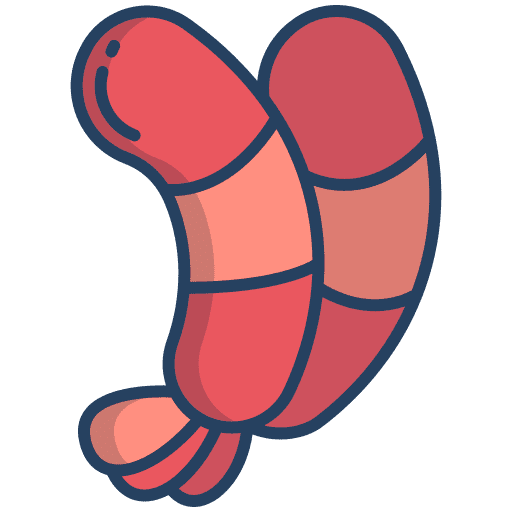 Shrimp sea life shellfish animals icon