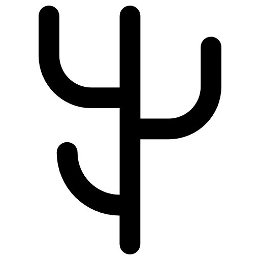 Cactus plant dessert dry icon