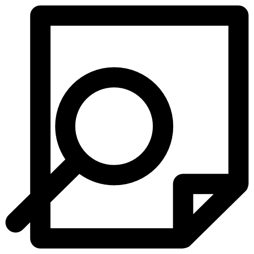 File magnifying glass overview audit icon