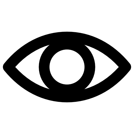 Eye optical vision show password icon