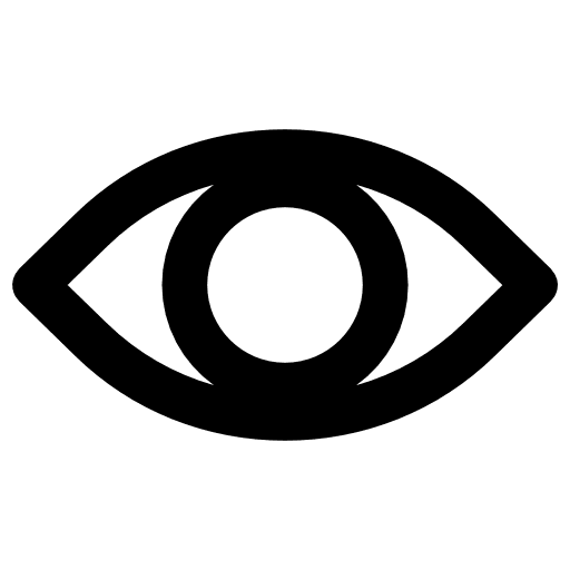 Eye medical eye password show password icon