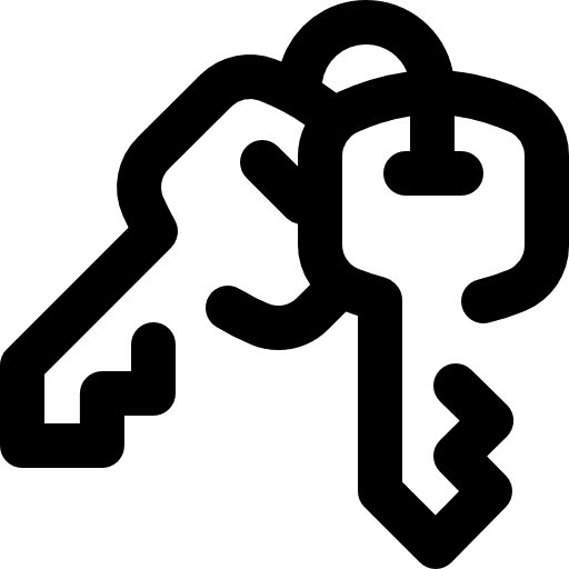 Access access key pass icon