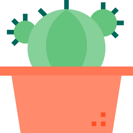 Cactus dessert plant botanical icon