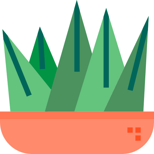 Cactus dry plant nature icon