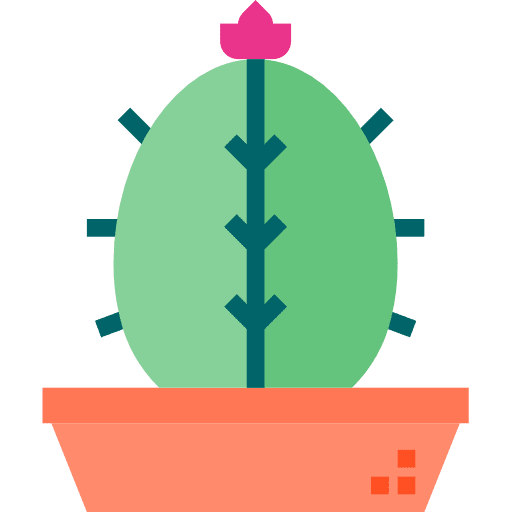 Cactus nature dessert dry icon