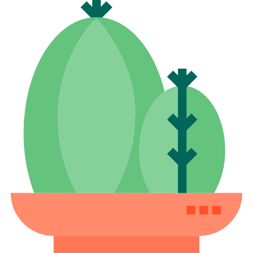 Cactus nature plant dessert icon