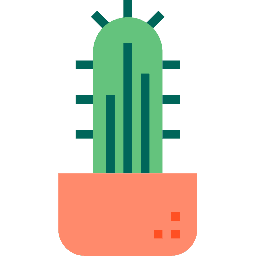 Cactus cactus dessert dry icon
