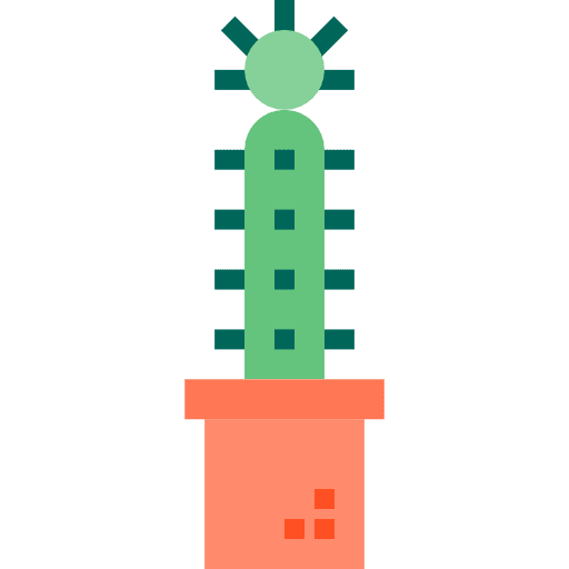 Cactus dessert botanical nature icon