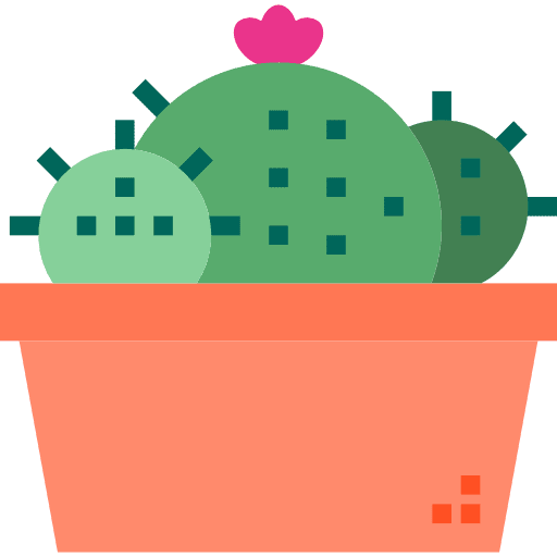 Cactus dessert dry cactus icon