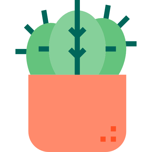 Cactus dessert nature plant icon