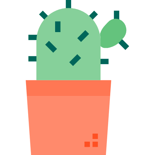 Cactus nature dessert plant icon