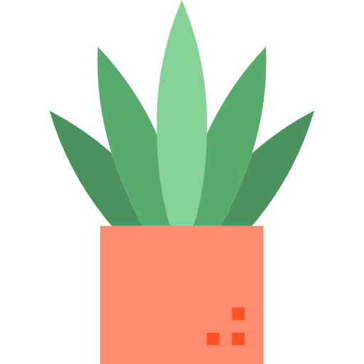 Cactus nature dry plant icon