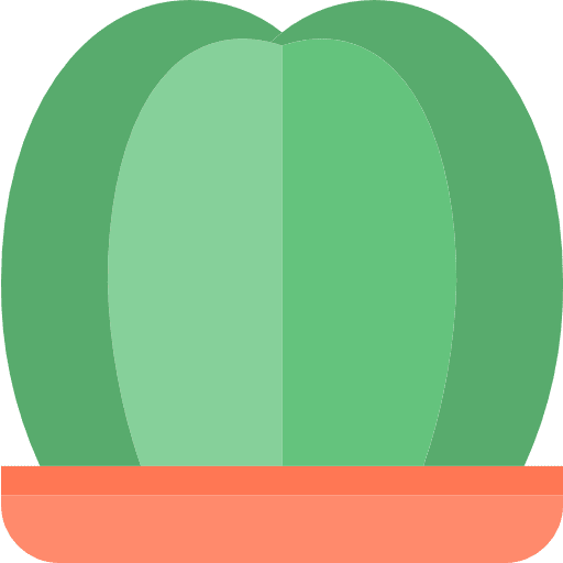 Cactus nature plant dry icon
