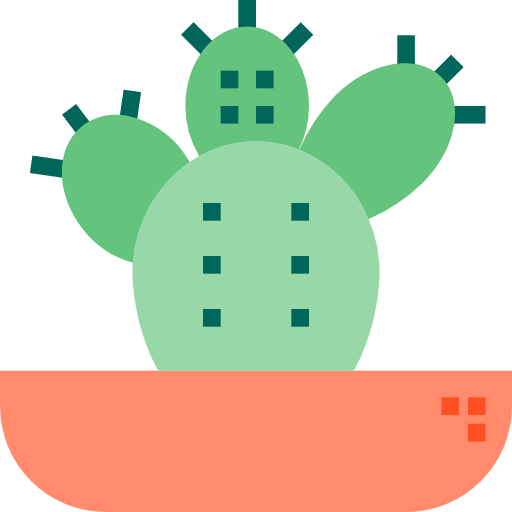 Cactus plant dessert dry icon