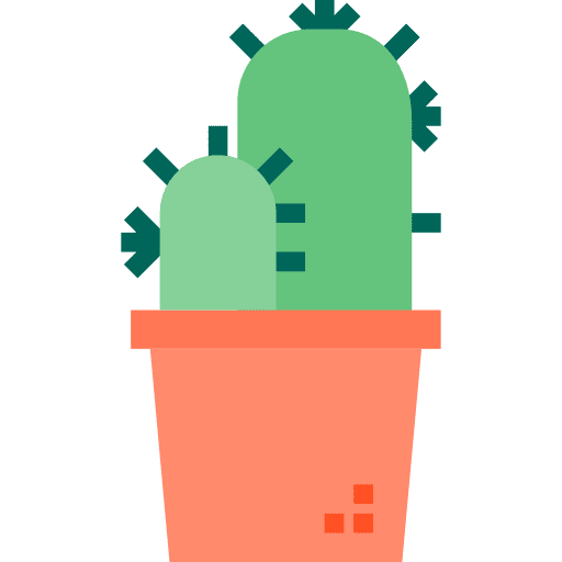 Cactus nature plant dry icon