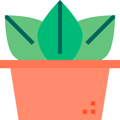 Cactus nature plant dry icon
