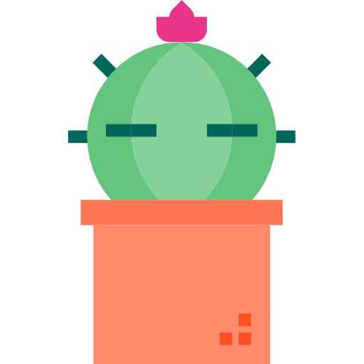 Cactus plant dry dessert icon