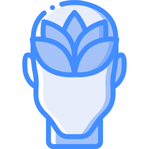 Calm calm mind intelligence icon