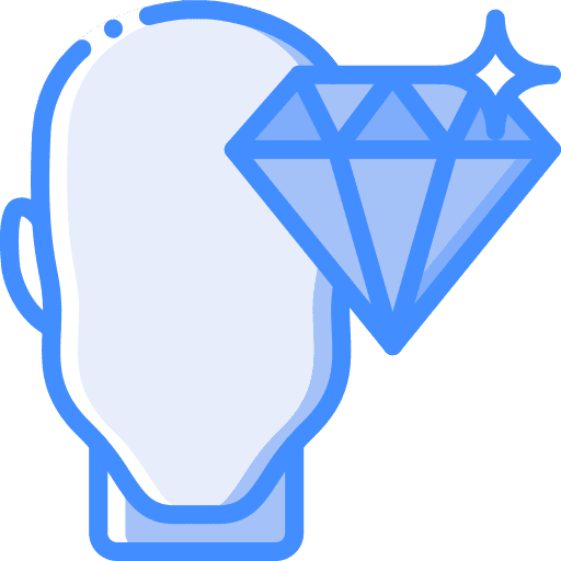 Perfectionist perfectionist clarity brain icon