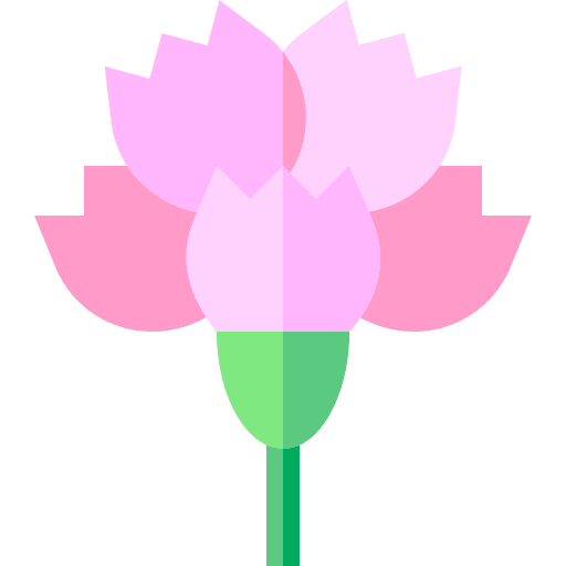 Carnation carnation blossom botanical icon