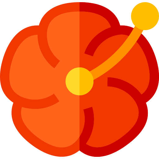 Hibiscus nature botanical petals icon
