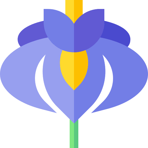 Iris petals botanical flower icon