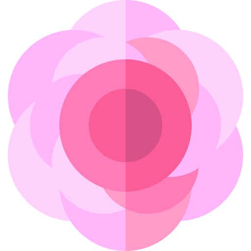 Peony peony petals blossom icon