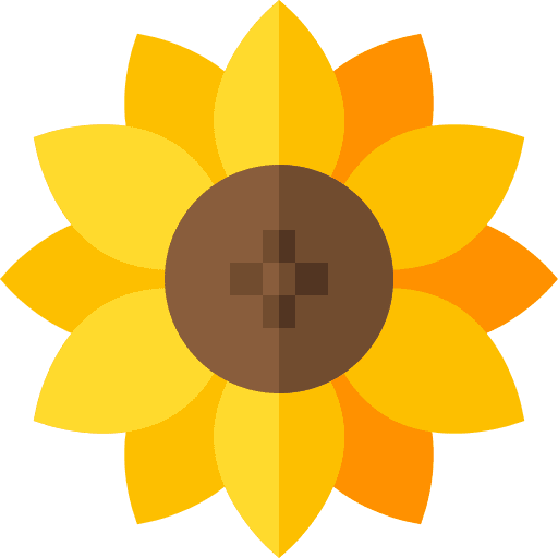 Sunflower petals nature sunflower icon