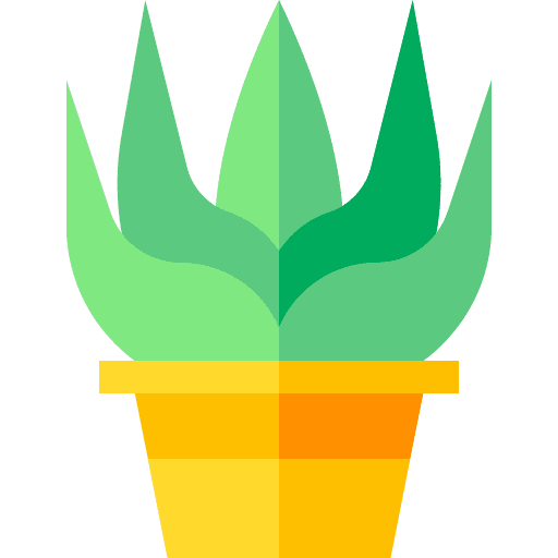 Aloe vera nature plant medical icon