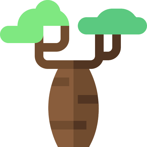 Baobab ecology nature baobab icon